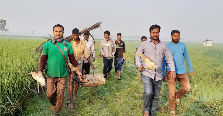 সিংড়ায় চার পাখি শিকারীকে কারাদন্ড প্রদান
